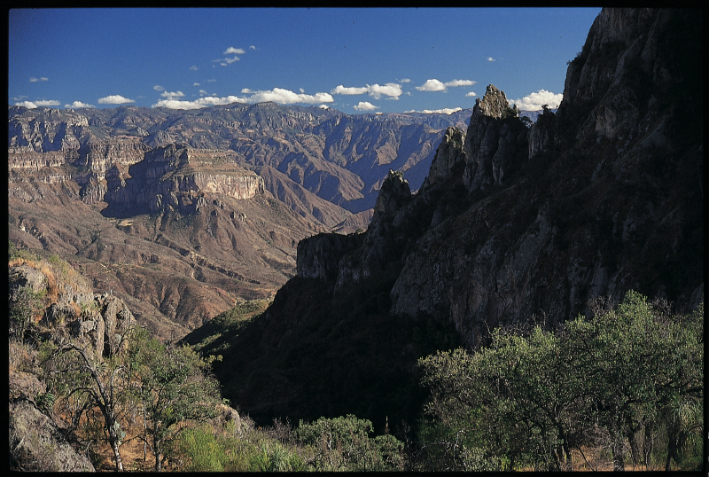 copper_canyon_(1)