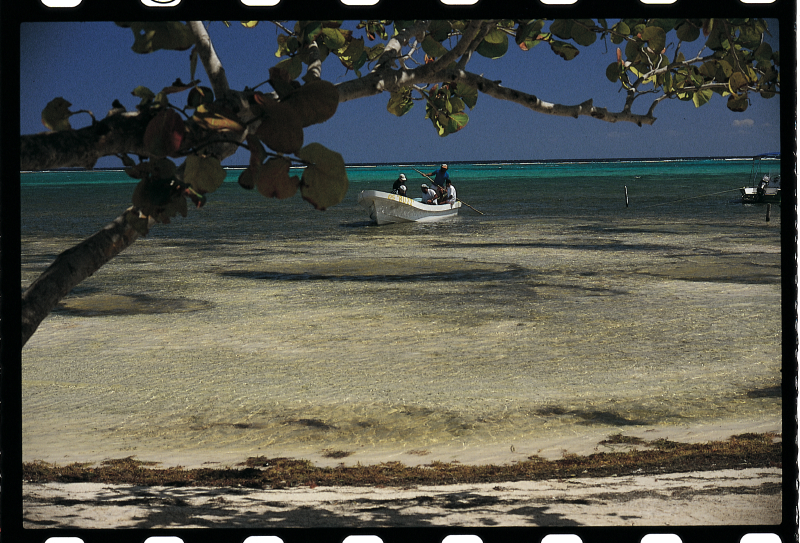 scuba_diving_-_costa_maya